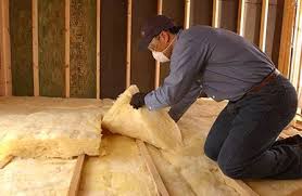 Best Insulation for Existing Homes  in Princeton, MN